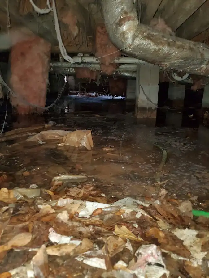 Crawl space flood assessment for Leak Detection & Repair in Bridgeport