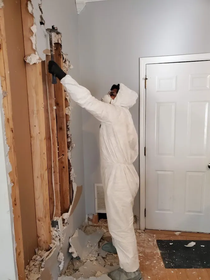 Basement Flood Cleanup in Bridgeport, MI